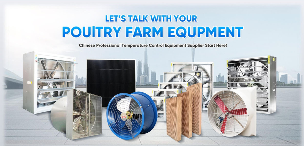 Shandong Xingmuyuan Agriculture and Animal Husbandry Technology Co.,ltd ligne de production du fabricant